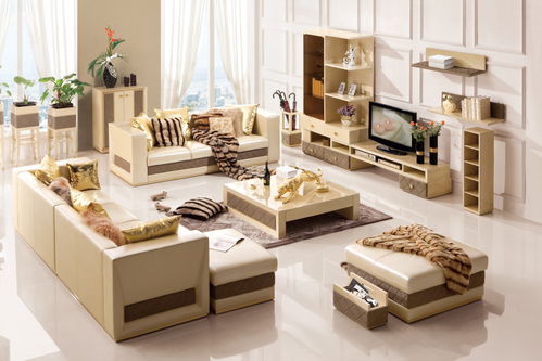 一招轻松告别新家具异味，营造清新居家环境