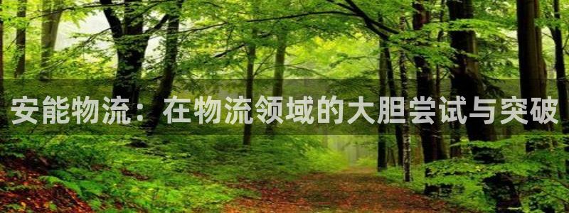 ,优游国际大神预测：安能物流：在物流