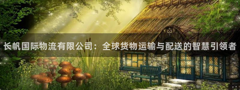 ,优游国际怎么申请代理：长帆国际物流