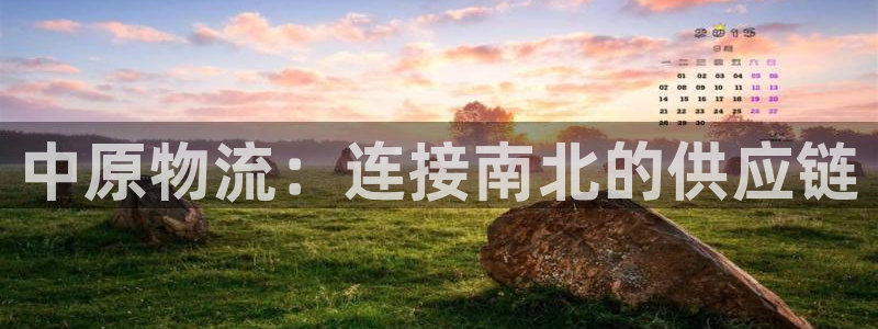 ,优游国际加拿大下载：中原物流：连接
