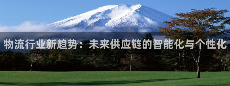 ,优游国际加拿大28：物流行业新趋势：未来供应链的智能化与个