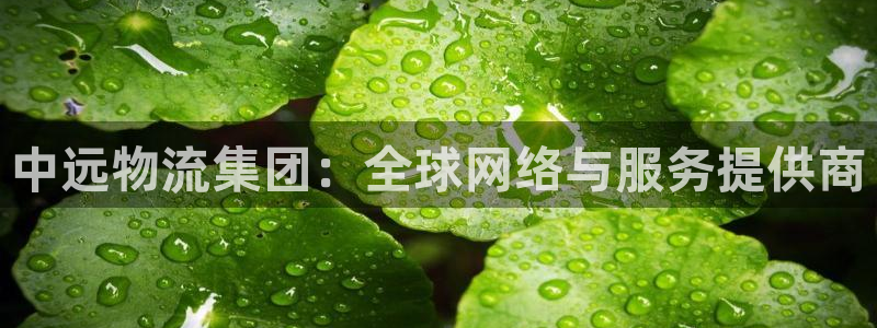 ,优游国际麻将胡了爆分视频：中远物流