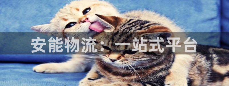 ,优游国际正规吗：安能物流：一站式平
