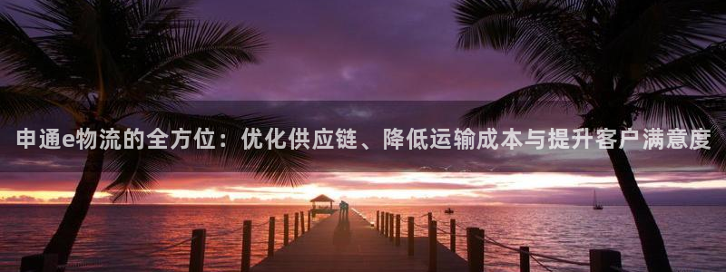 ,优游国际取保：申通e物流的全方位：