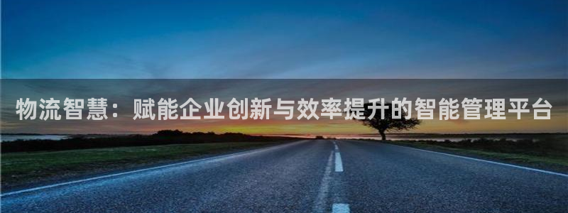 ,优游国际怎么下载教程：物流智慧：赋