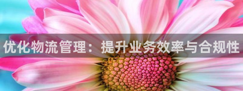 ,优游国际注册链接入口：优化物流管理