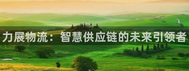 ,优游国际注册步骤：力展物流：智慧供