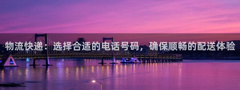 优游国际官网下载多少：物流快递：选择