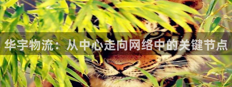 南宫,优游国际官网