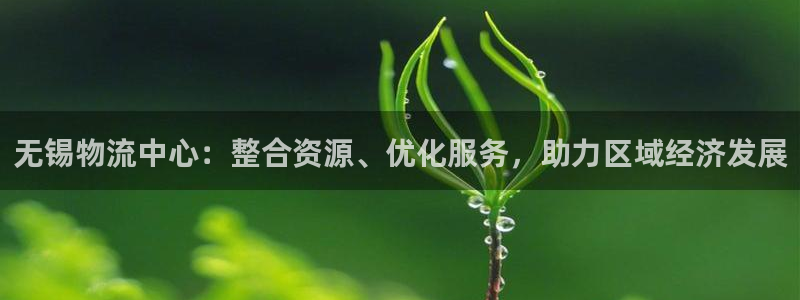 ,优游国际ccm游戏：无锡物流中心：整合资源、优化服务，助力