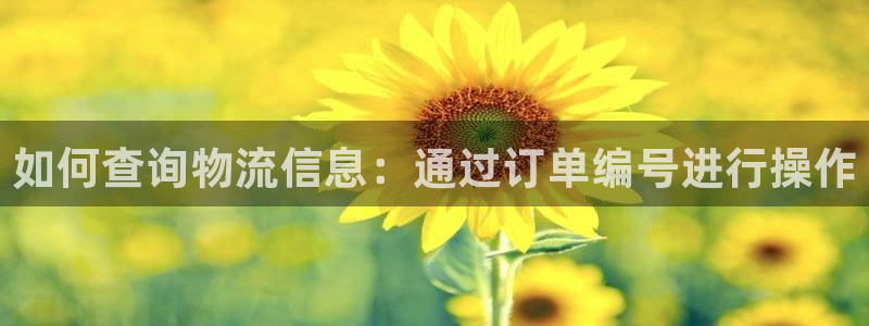 ,优游国际怎么注册：如何查询物流信息