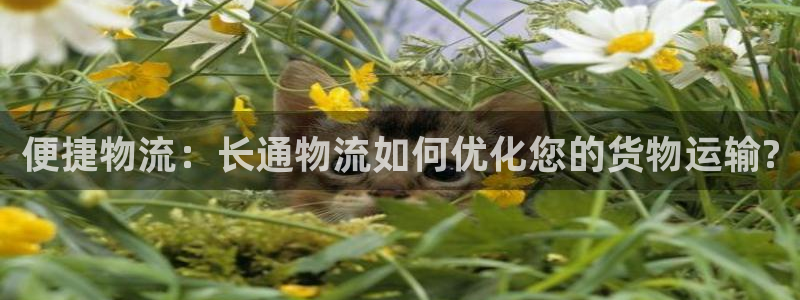 ,优游国际ccm官网版：便捷物流：长