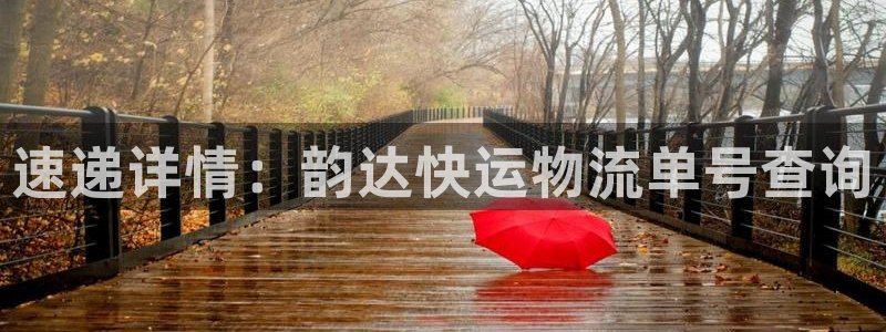 ,优游国际现在狂杀：速递详情：韵达快