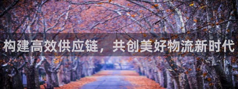 ,优游国际充值为什么充不了：构建高效