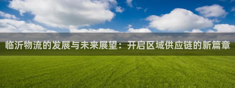 ,优游国际如何看计划：临沂物流的发展