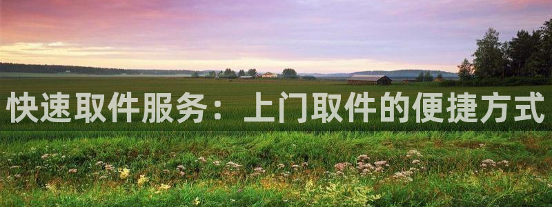 ,优游国际：快速取件服务：上门取件的
