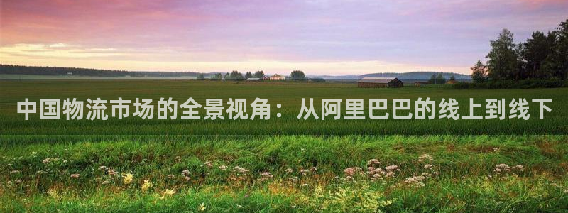 ,优游国际pc预测：中国物流市场的全