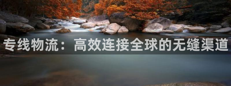 ,优游国际口：专线物流：高效连接全球的无缝渠道