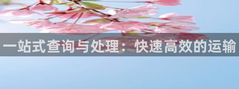 ,优游国际正规吗：一站式查询与处理：