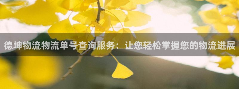 ,优游国际机器人是什么软件：德坤物流