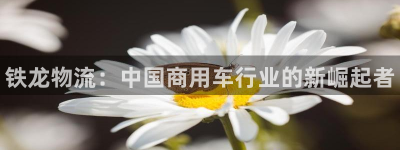 优游国际官网入口app：铁龙物流：中