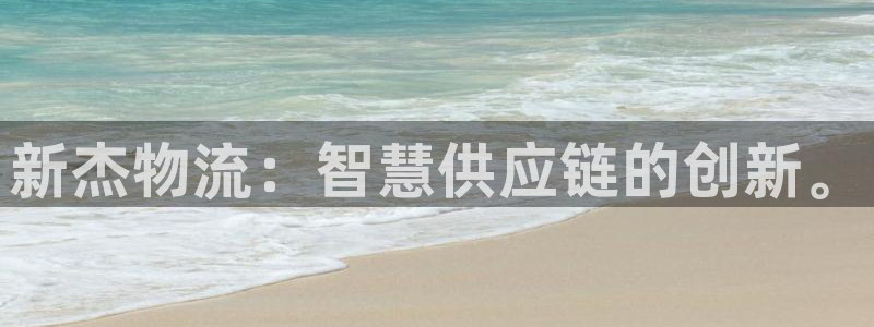 ,优游国际官方版正版：新杰物流：智慧