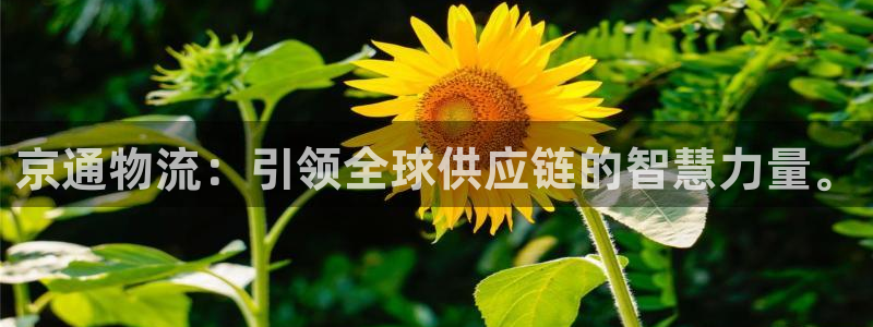 ,优游国际大神预测