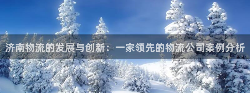 ,优游国际注册号：济南物流的发展与创新：一家领先的物流公司案