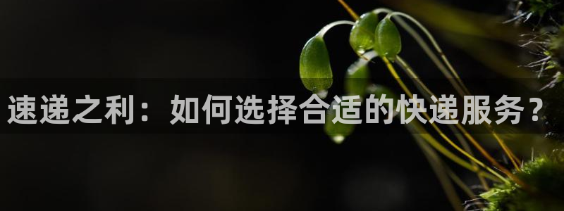 ,优游国际aPP退款：速递之利：如何