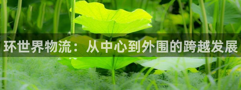 ,优游国际在线预测